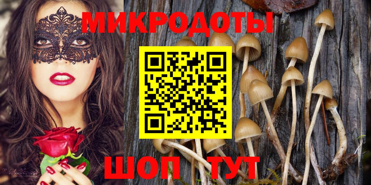 Псилоцибиновые грибы мухоморы Карасук